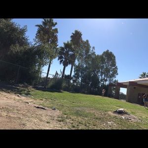 Meet your Posher, Darrel